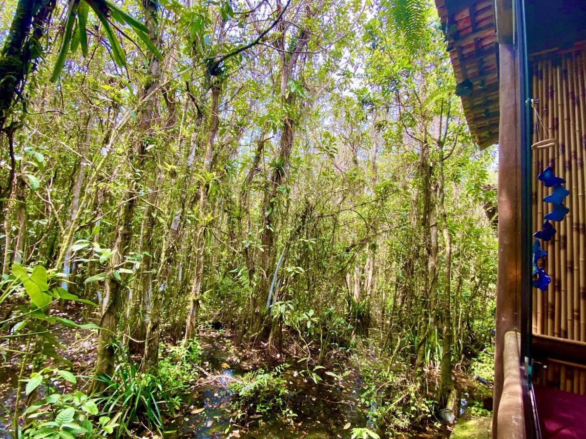 Maresias, Chale H29 Em Condominio De Frente A Entrada 18 Da Praia E Dentro Da Mata Atlantica Sao Sebastiao  Εξωτερικό φωτογραφία